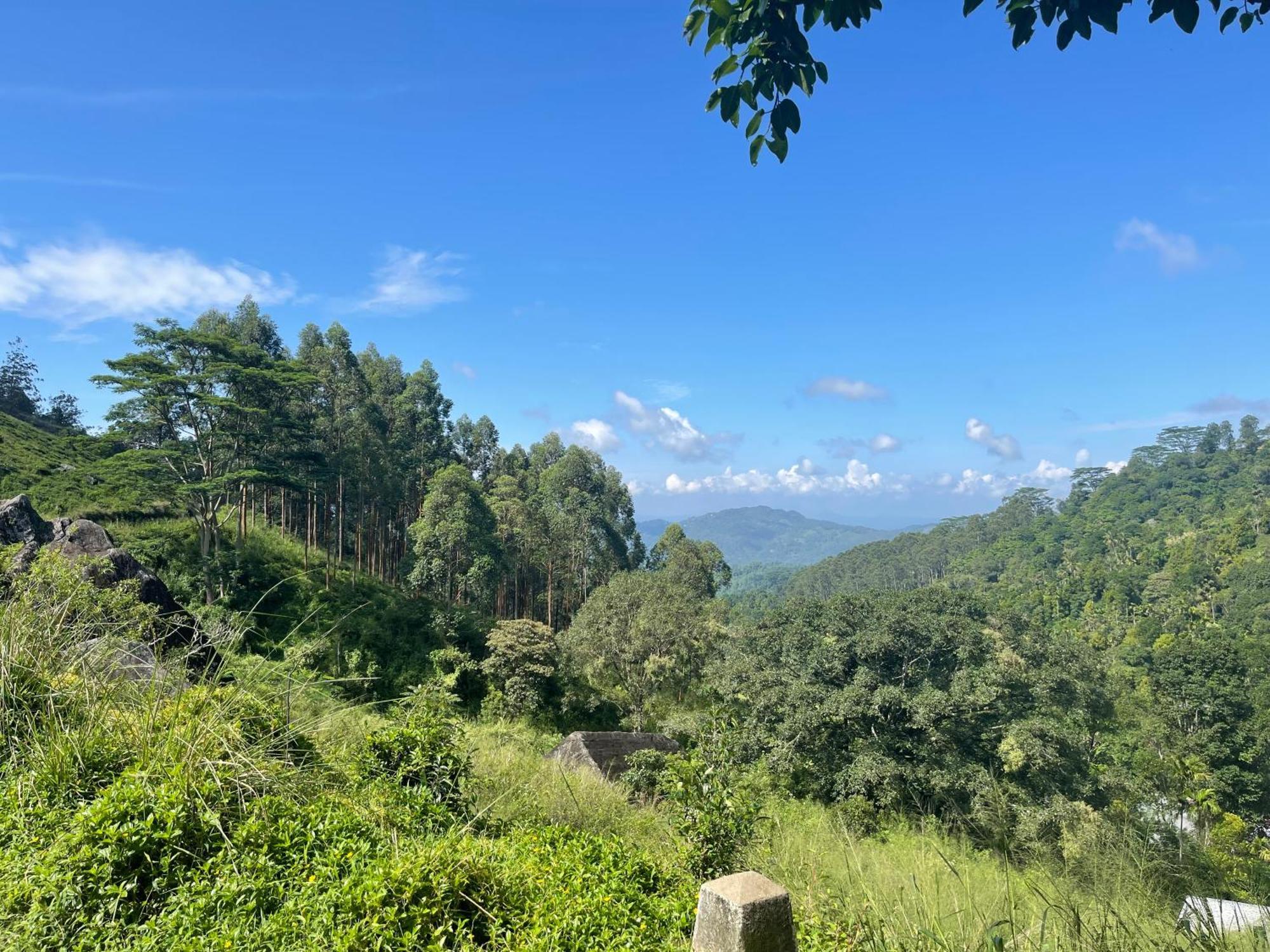 Eagles Lodge - Kandy Дигана Экстерьер фото